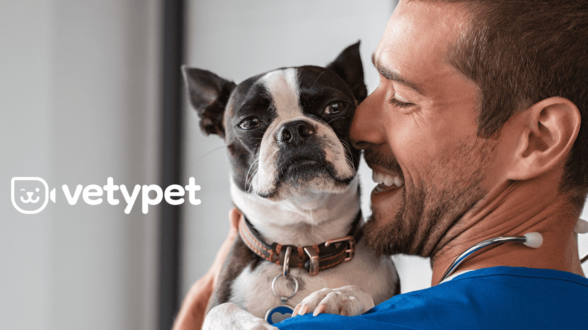 Veterinario vicino a me? Connettiti con veterinari in tempo reale con Vetypet